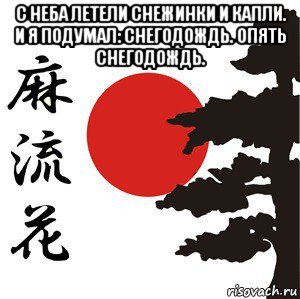 с неба летели снежинки и капли. и я подумал: снегодождь. опять снегодождь. 