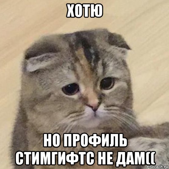 хотю но профиль стимгифтс не дам((, Мем Хотю