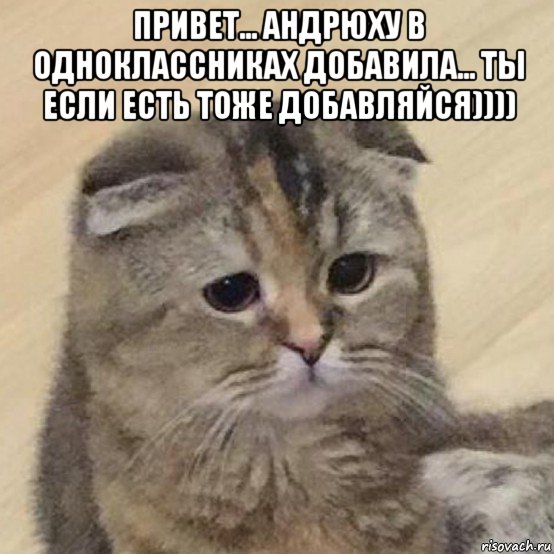 привет... андрюху в одноклассниках добавила... ты если есть тоже добавляйся)))) , Мем Хотю