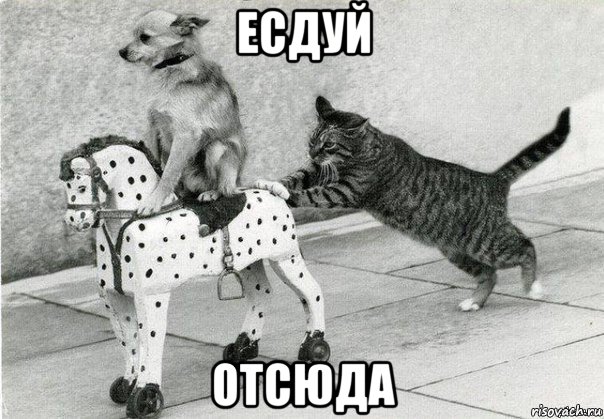 есдуй отсюда