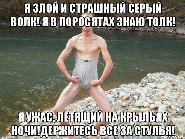 я злой и страшный серый волк! я в поросятах знаю толк! я ужас, летящий на крыльях ночи!держитесь все за стулья!, Мем Кирилл
