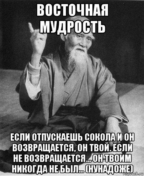 восточная мудрость если отпускаешь сокола и он возвращается, он твой. если не возвращается... он твоим никогда не был... (нунадоже), Мем конфуций