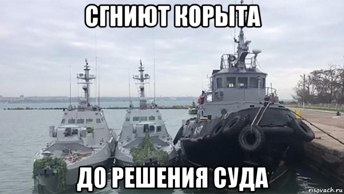 сгниют корыта до решения суда, Мем Корабли унитазы