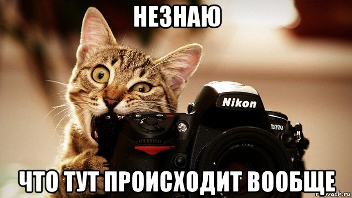 незнаю что тут происходит вообще