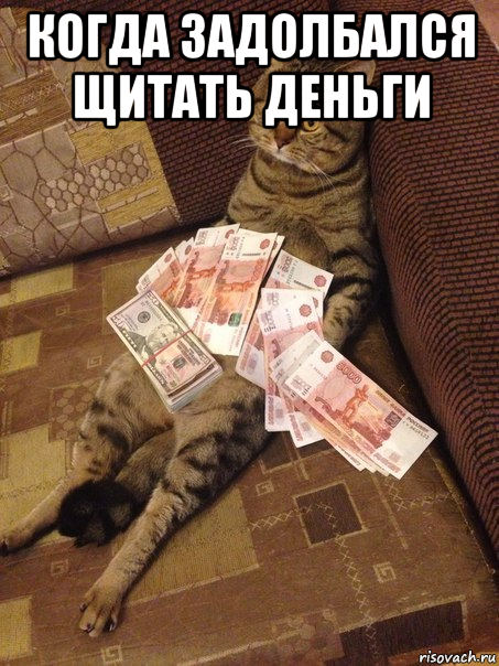 когда задолбался щитать деньги 