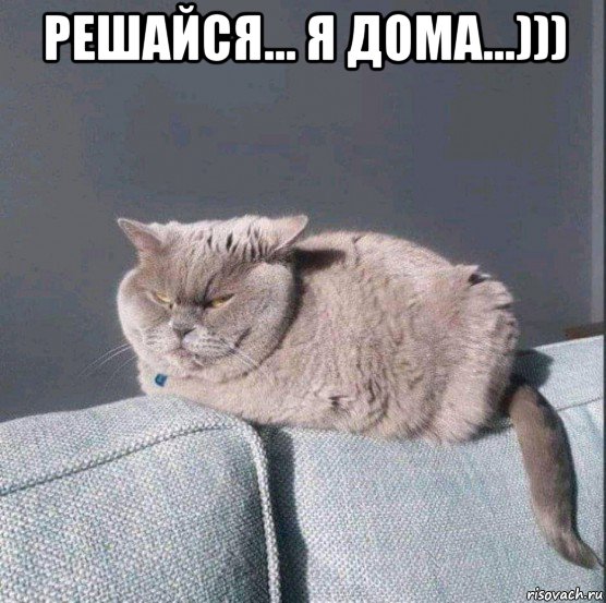 решайся... я дома...))) , Мем Кот