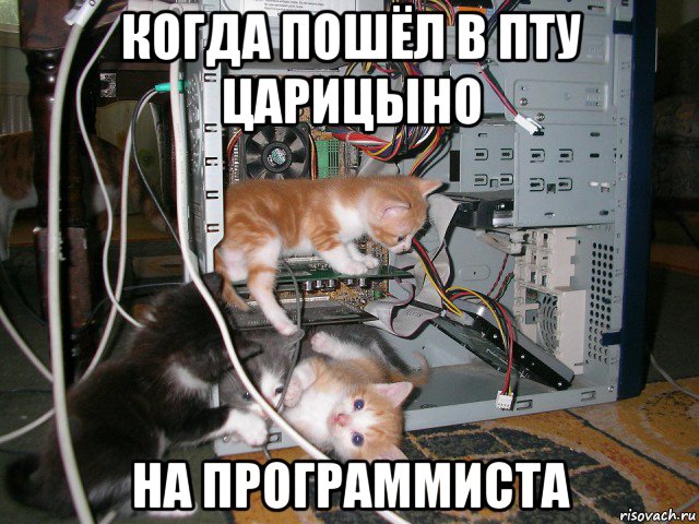 когда пошёл в пту царицыно на программиста