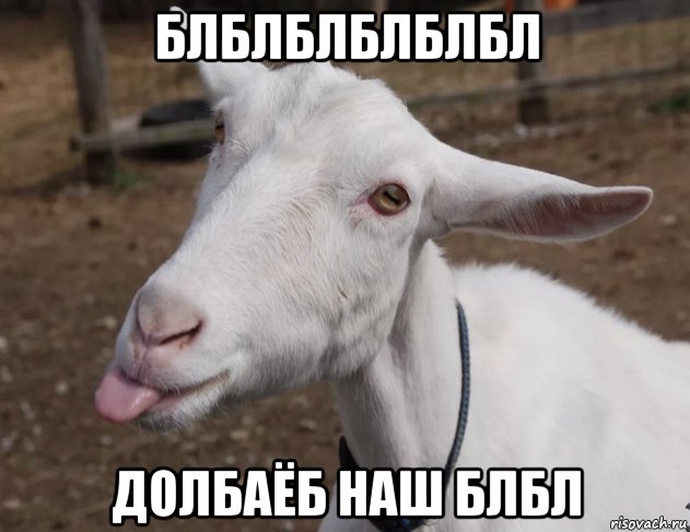 блблблблблбл долбаёб наш блбл, Мем Коза с языком