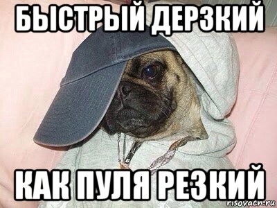 быстрый дерзкий как пуля резкий