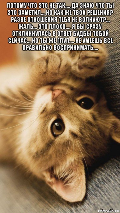 потому что это не так.... да знаю что ты это заметил... но как же твои решения? разве отношения тебя не волнуют?... жаль... это плохо.... я бы сразу откликнулась в ответ будбы тобой сейчас... но ты же глуп.... не умеешь все правильно воспринимать.... , Мем Мой2