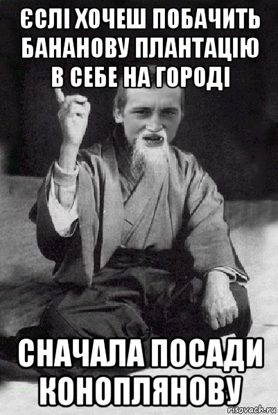 єслі хочеш побачить бананову плантацію в себе на городі сначала посади коноплянову, Мем Мудрий паца