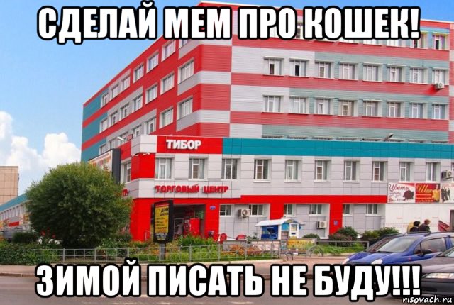 сделай мем про кошек! зимой писать не буду!!!, Мем Муром ТЦ Тибор