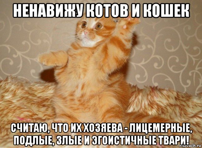ненавижу котов и кошек считаю, что их хозяева - лицемерные, подлые, злые и эгоистичные твари!, Мем Н