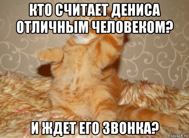 кто считает дениса отличным человеком? и ждет его звонка?, Мем Н
