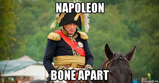 napoleon bone apart, Мем Наполеон