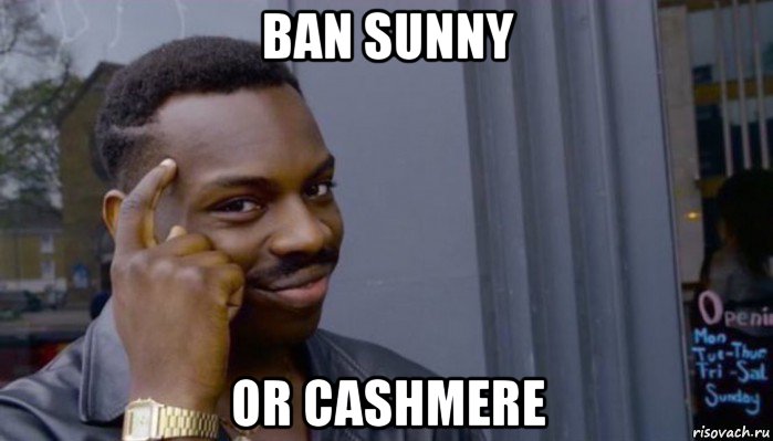 ban sunny or cashmere