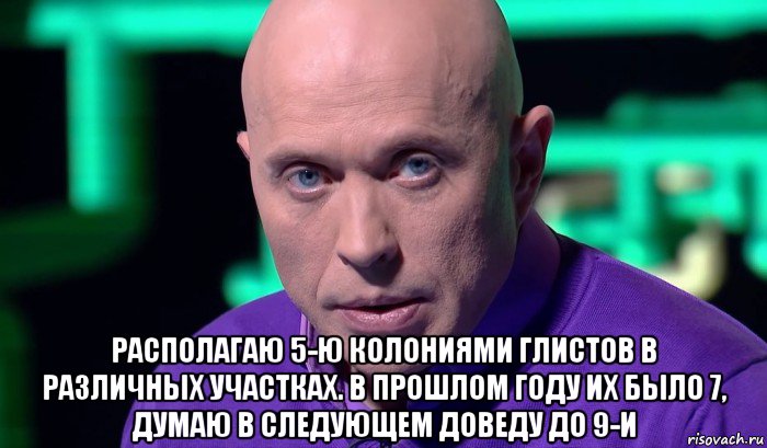  располагаю 5-ю колониями глистов в различных участках. в прошлом году их было 7, думаю в следующем доведу до 9-и, Мем Необъяснимо но факт