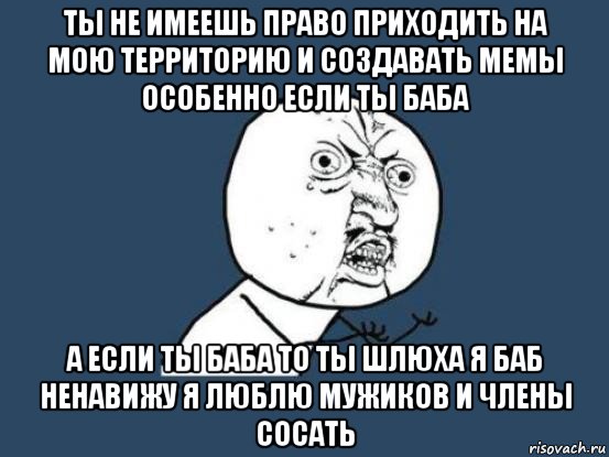 ты не имеешь право приходить на мою территорию и создавать мемы особенно если ты баба а если ты баба то ты шлюха я баб ненавижу я люблю мужиков и члены сосать, Мем Ну почему