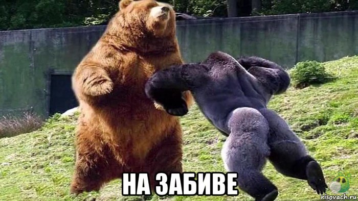  на забиве, Мем Обезьяна