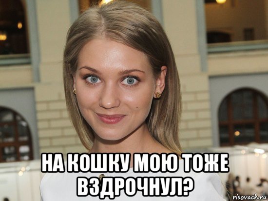  на кошку мою тоже вздрочнул?, Мем Оль рдйй