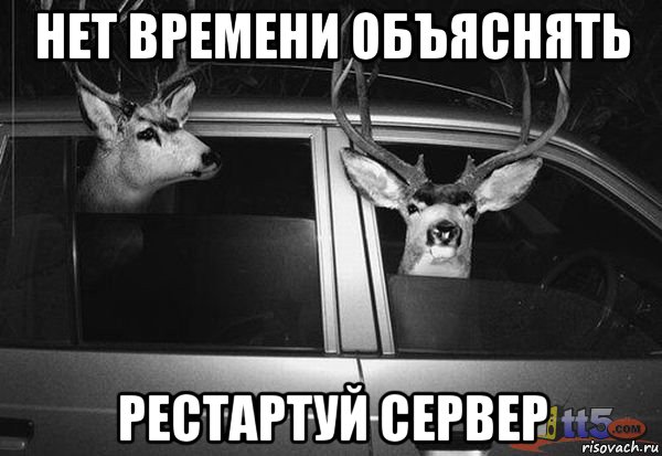 нет времени объяснять рестартуй сервер