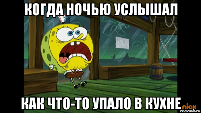 когда ночью услышал как что-то упало в кухне, Мем Отдышкины штаны