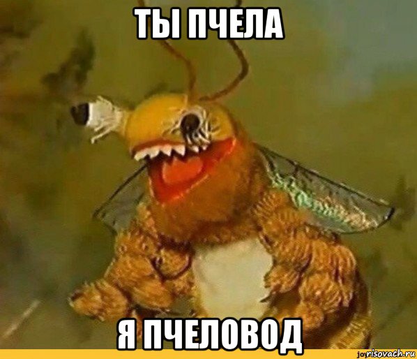 ты пчела я пчеловод