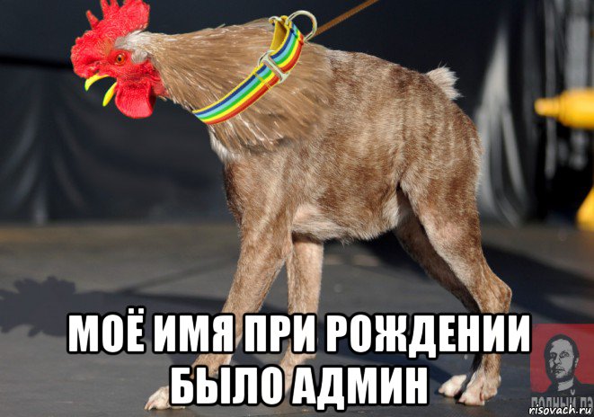  моё имя при рождении было админ