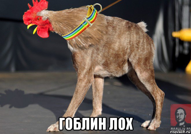  гоблин лох