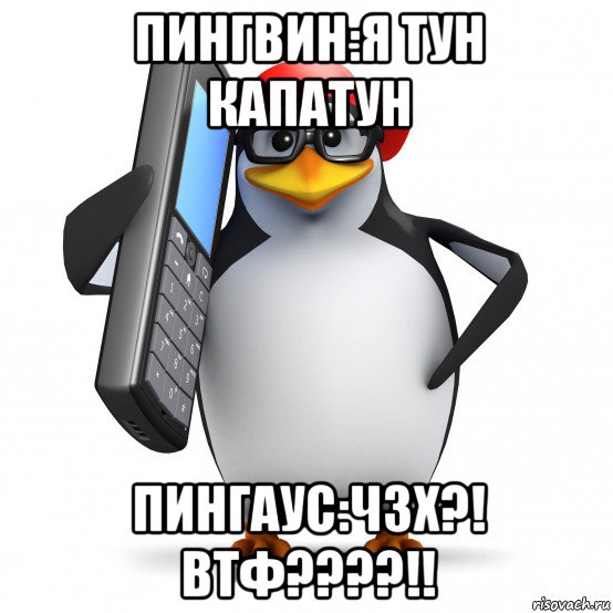 пингвин:я тун капатун пингаус:чзх?! втф????!!, Мем   Пингвин звонит