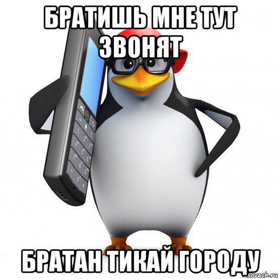 братишь мне тут звонят братан тикай городу, Мем   Пингвин звонит