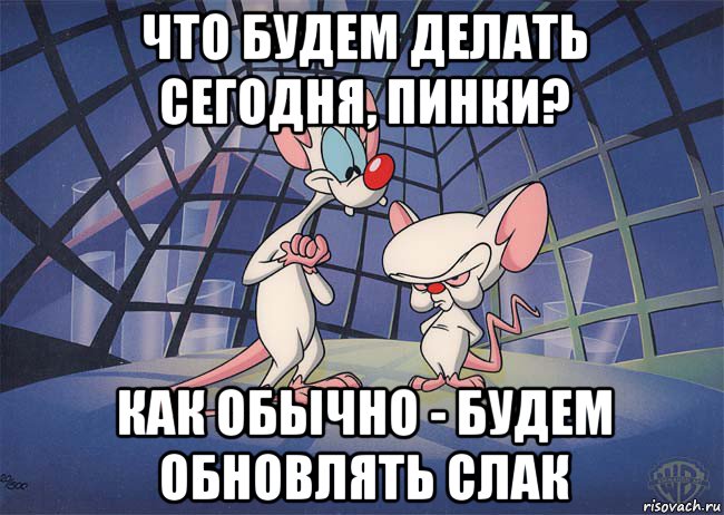 что будем делать сегодня, пинки? как обычно - будем обновлять слак, Мем ПИНКИ И БРЕЙН