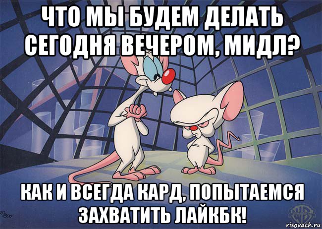 что мы будем делать сегодня вечером, мидл? как и всегда кард, попытаемся захватить лайкбк!, Мем ПИНКИ И БРЕЙН