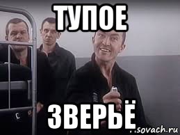 тупое зверьё, Мем ПИСТОН