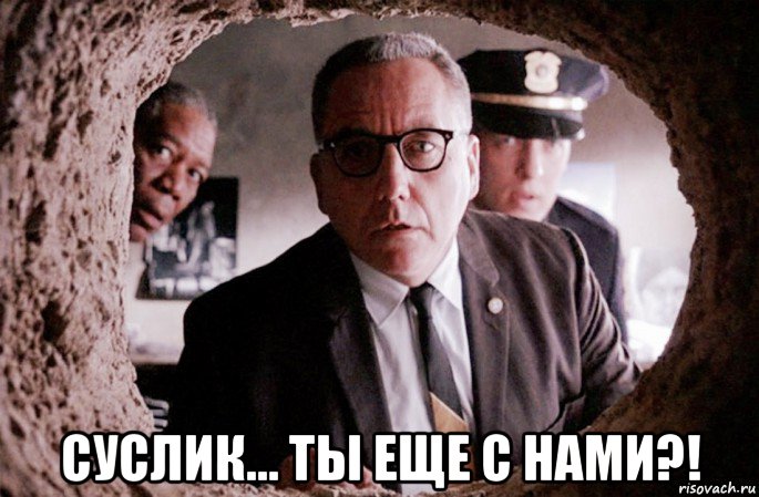  суслик... ты еще с нами?!, Мем Побег из Шоушенка