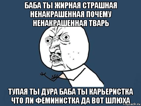 баба ты жирная страшная ненакрашенная почему ненакрашенная тварь тупая ты дура баба ты карьеристка что ли феминистка да вот шлюха, Мем  почему мем