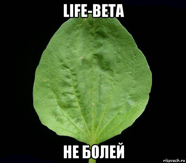 life-beta не болей, Мем Подорожник