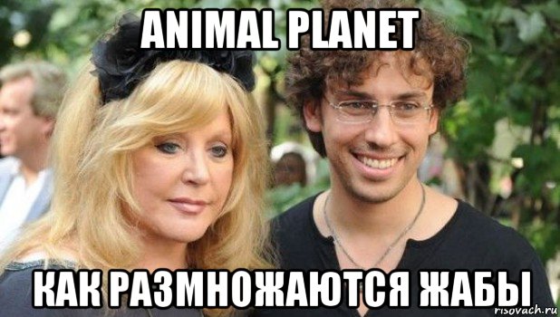 animal planet как размножаются жабы, Мем Пукачёва