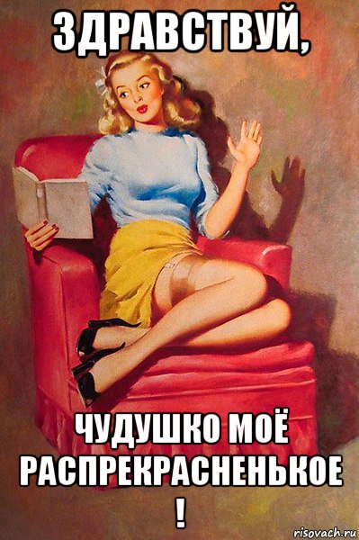 здравствуй, чудушко моё распрекрасненькое !, Мем С КНИЖИЦЕЙ