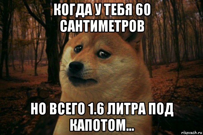 когда у тебя 60 сантиметров но всего 1.6 литра под капотом..., Мем SAD DOGE