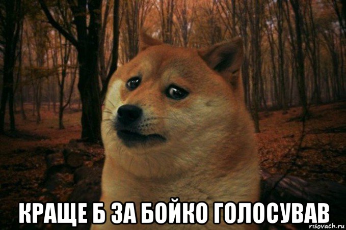  краще б за бойко голосував, Мем SAD DOGE