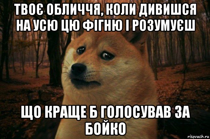 твоє обличчя, коли дивишся на усю цю фігню і розумуєш що краще б голосував за бойко