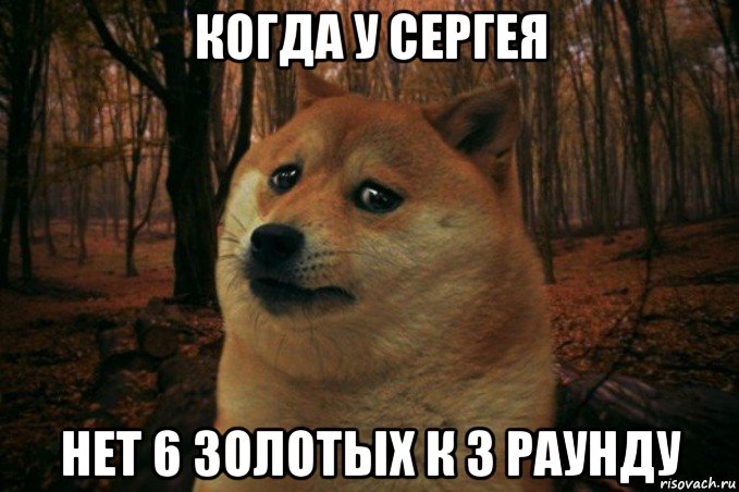 когда у сергея нет 6 золотых к 3 раунду, Мем SAD DOGE