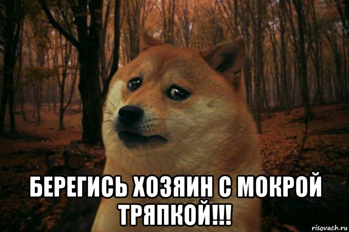  берегись хозяин с мокрой тряпкой!!!, Мем SAD DOGE