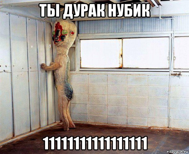 ты дурак нубик 11111111111111111