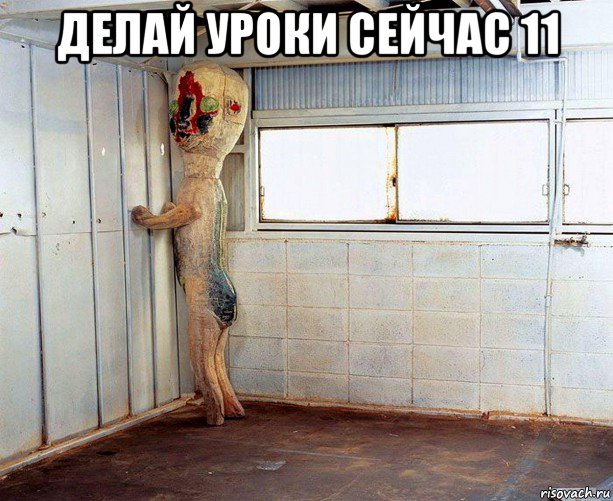 делай уроки сейчас 11 