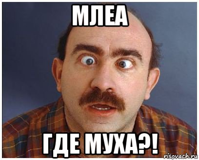 млеа где муха?!