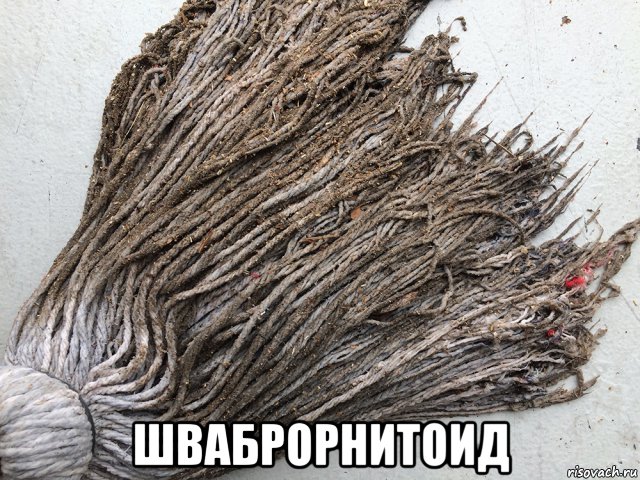  шваброрнитоид, Мем Швабра