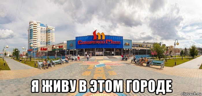 я живу в этом городе, Мем Сибирская Молли