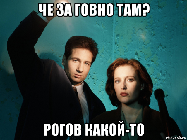 че за говно там? рогов какой-то